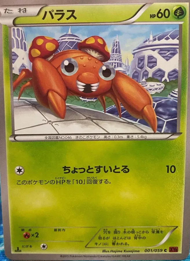 Paras [1st-Edition]